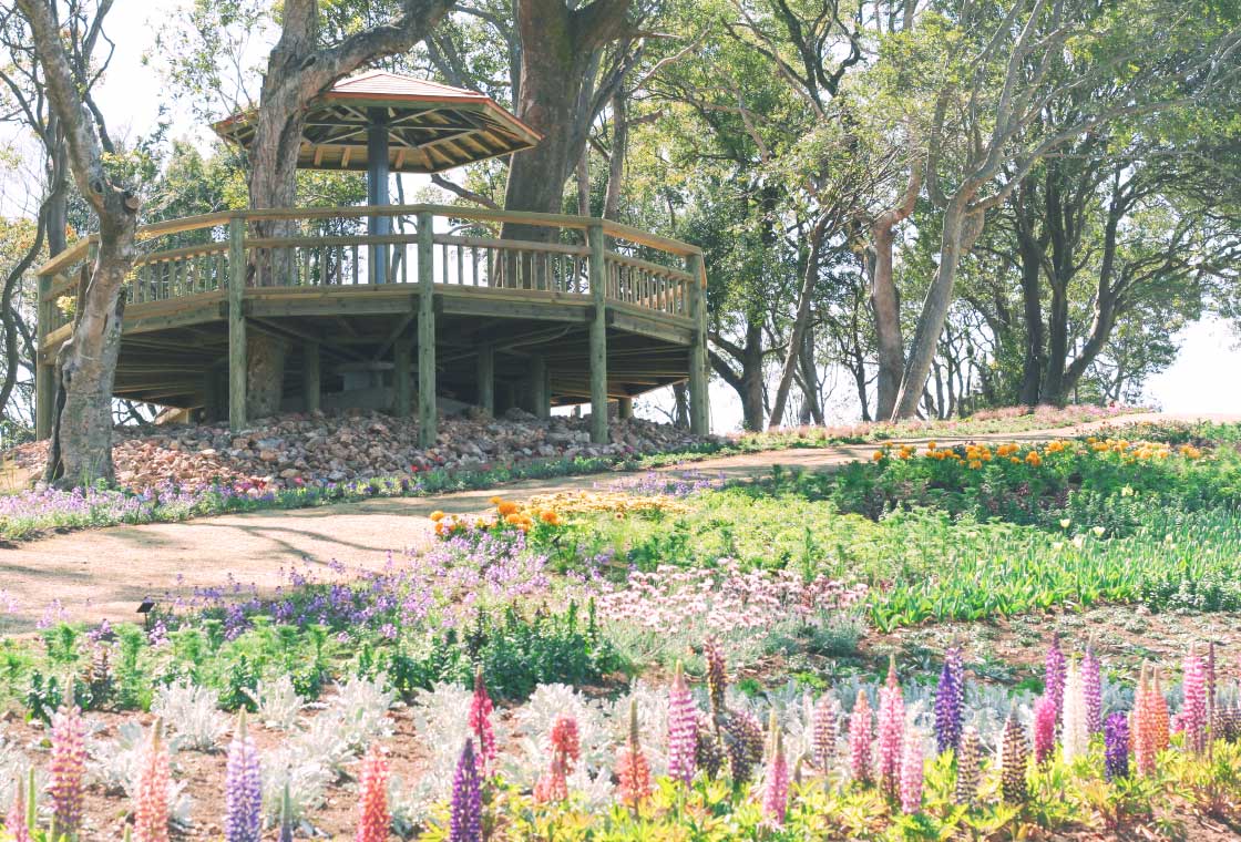 こんこん山広場にある、花の丘と展望台