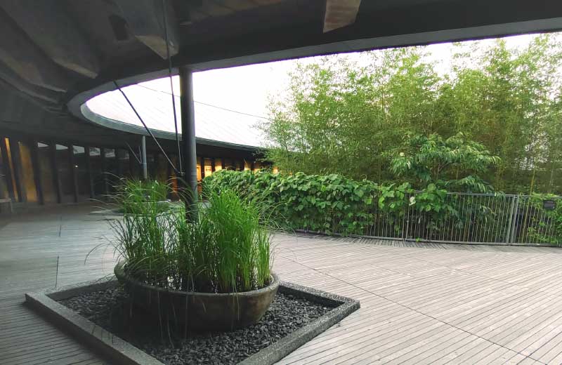 木造りの本館