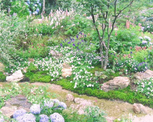 南園の小川を再現した植栽エリア