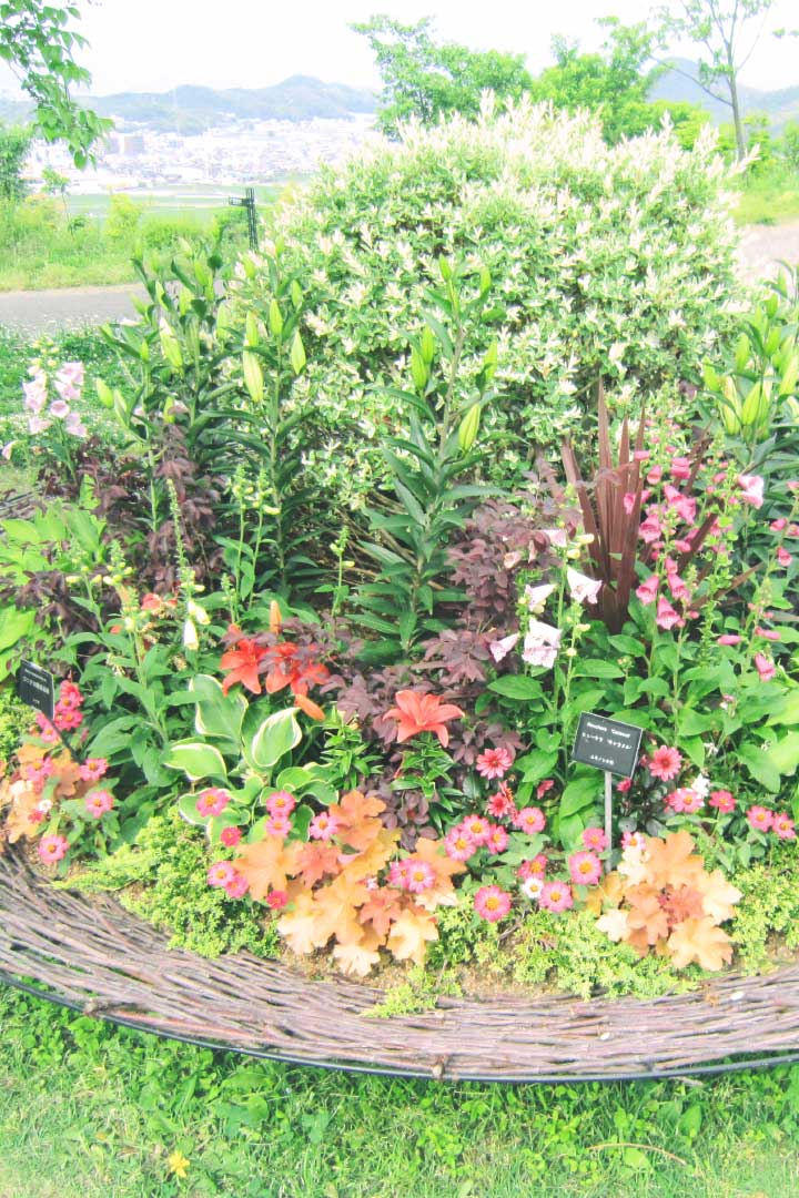 「春のフラワーショー」