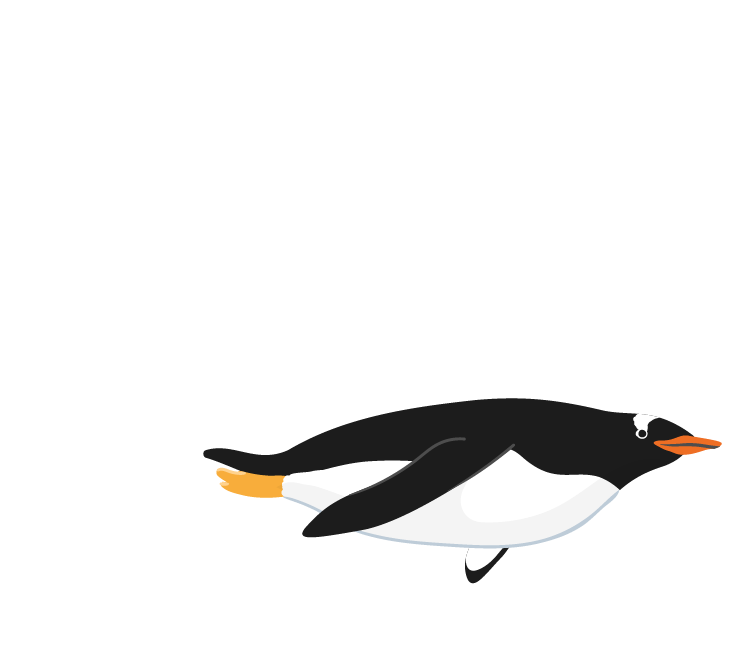 泳ぐペンギン奥