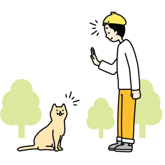 猫と挨拶